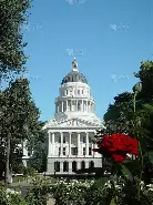 ag体育官网-萨克拉门托国王训练开放日，国际比赛日迎来里程碑引欢呼，足总杯在即，年轻球员得到机会